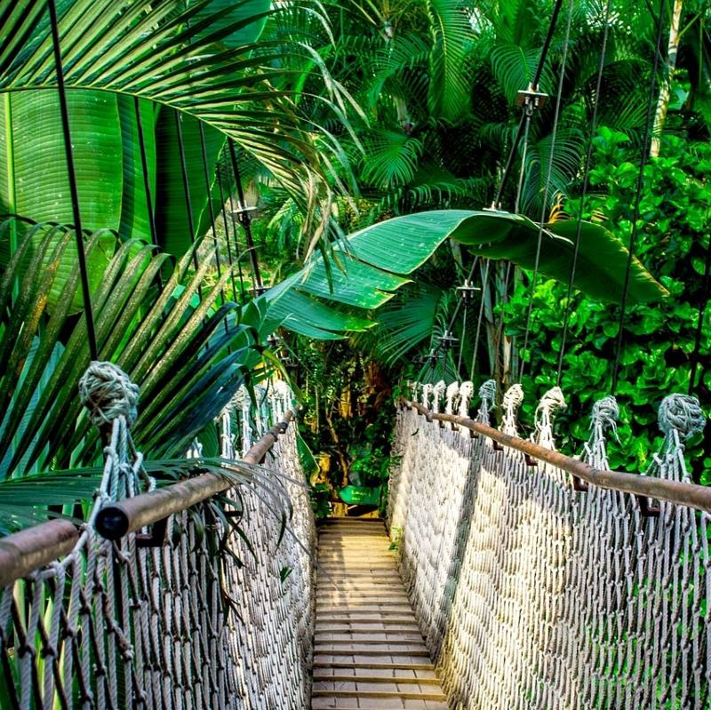 Bridge